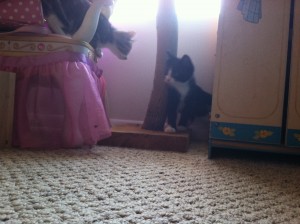IMG_1957