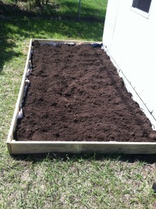 Garden Plot After Digging and Framing