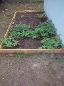 Garden Growing