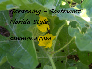 Gardening Southwest Florida Style
