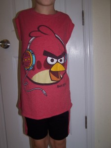 Finished Angry Bird Shirt