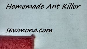 Homemade Ant Killer