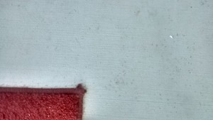 Ant Trail