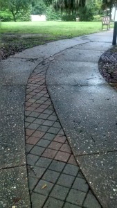 Snake Tail