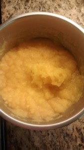 Pumpkin Puree