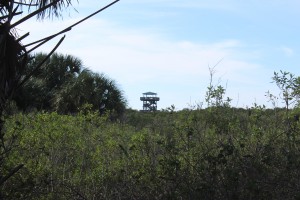 TEC MVC Observatory Tower