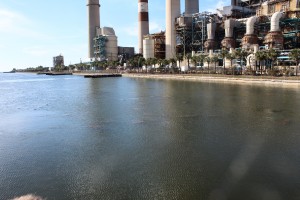 Tampa Electric Company TEC 