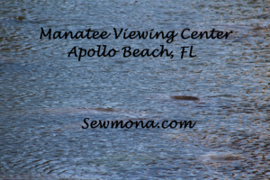 Manatee Viewing Center Tampa Electric