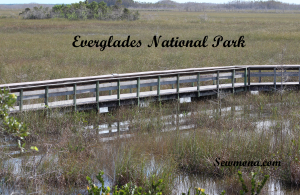 Everglades National Park