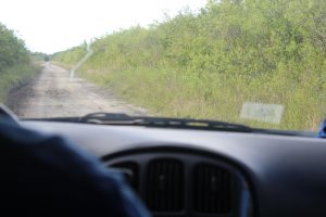 Road Into the Everglades