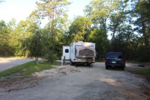 The camp sites are huge at Silver Springs State Park.