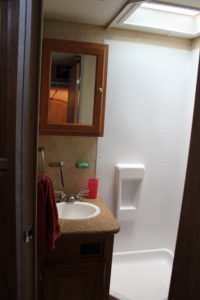 Shamrock Bathroom Sink