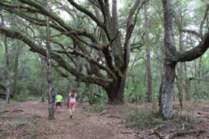 Hiking along a trail at Silver Springs State Park