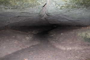 Beginning of the Bluff Trail Tunnel Cave