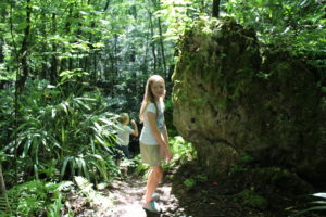 Looking in a cave along the bluff trail in Florida Caverns State Park.