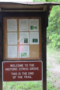 The citrus grove at the end of the trail.