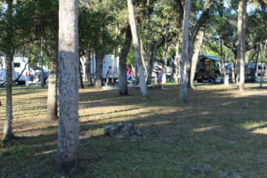Collier Seminole State Park Campground