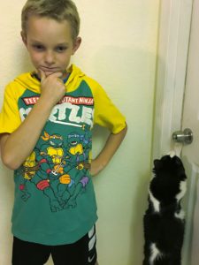A new raglan upcycled from a sweatshirt plus the cat.