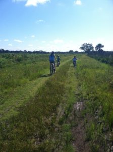 Biking at Myakka River State Park Along the All Weather Trail