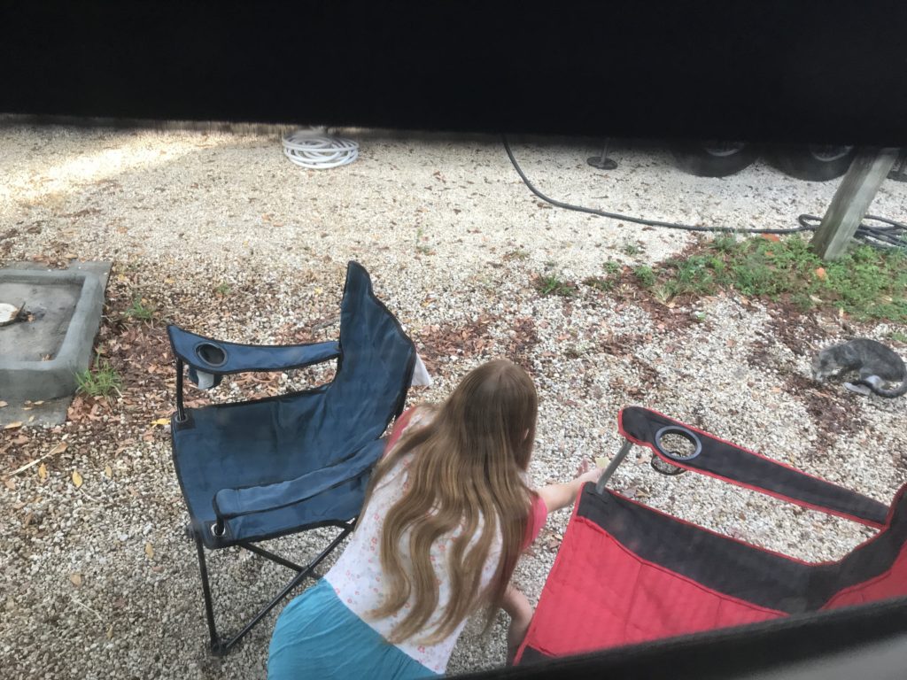 Campground kitty