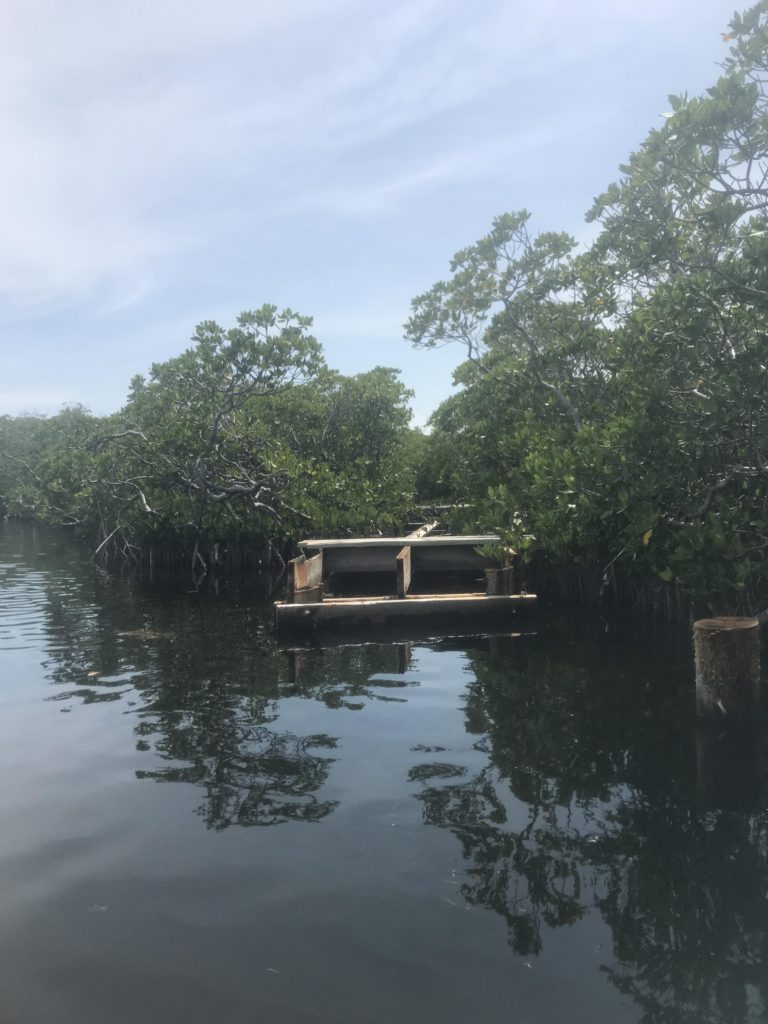 Leftover Mangrove Trail