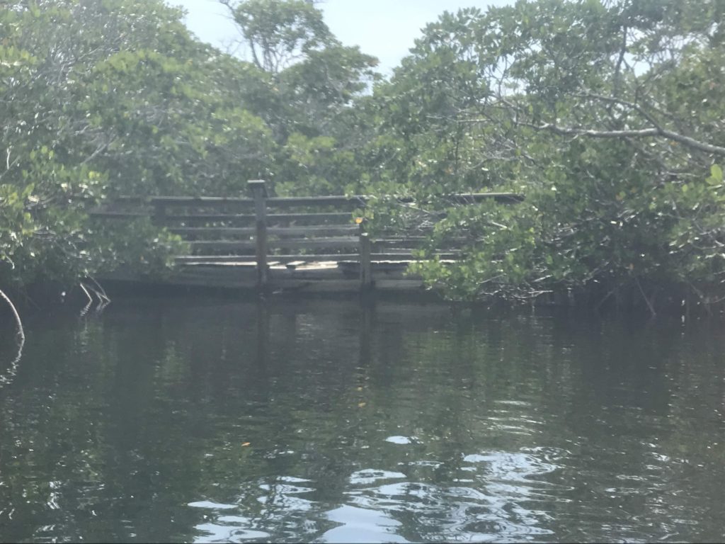 MangroveTrailWalkway