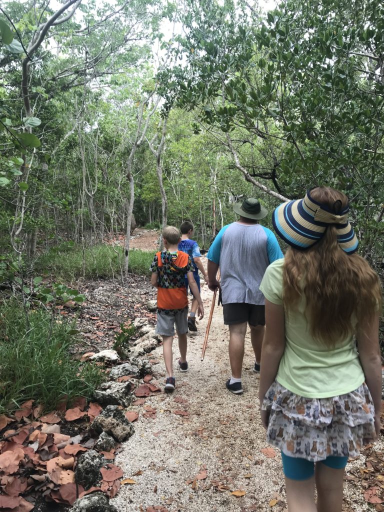 Hiking to the citrus grove