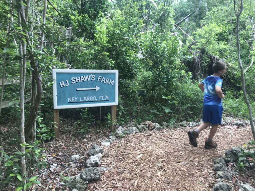 Citrus grove sign