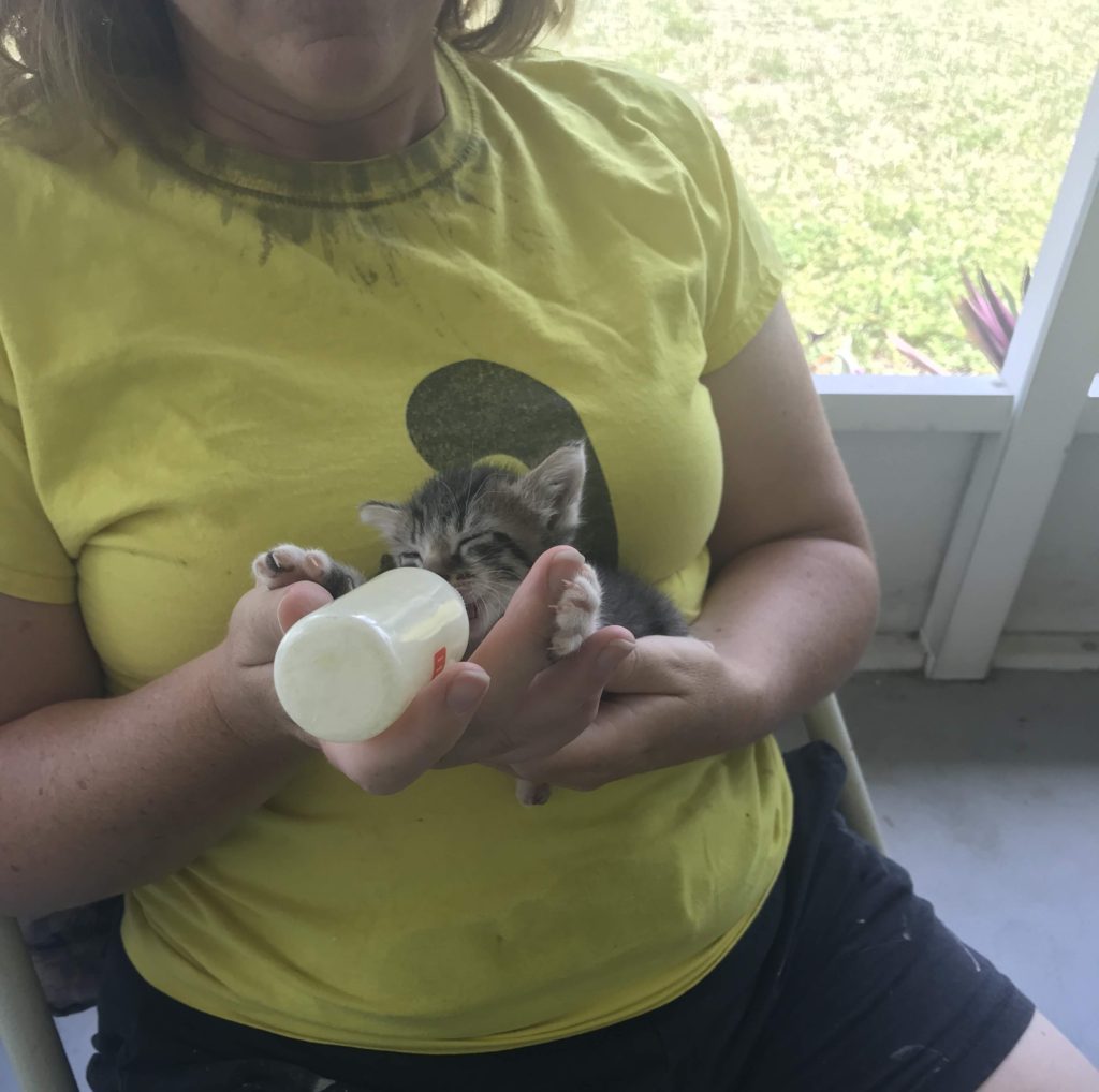 Feeding Chief