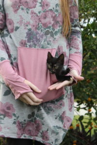 Kitten Kangaroo Pocket