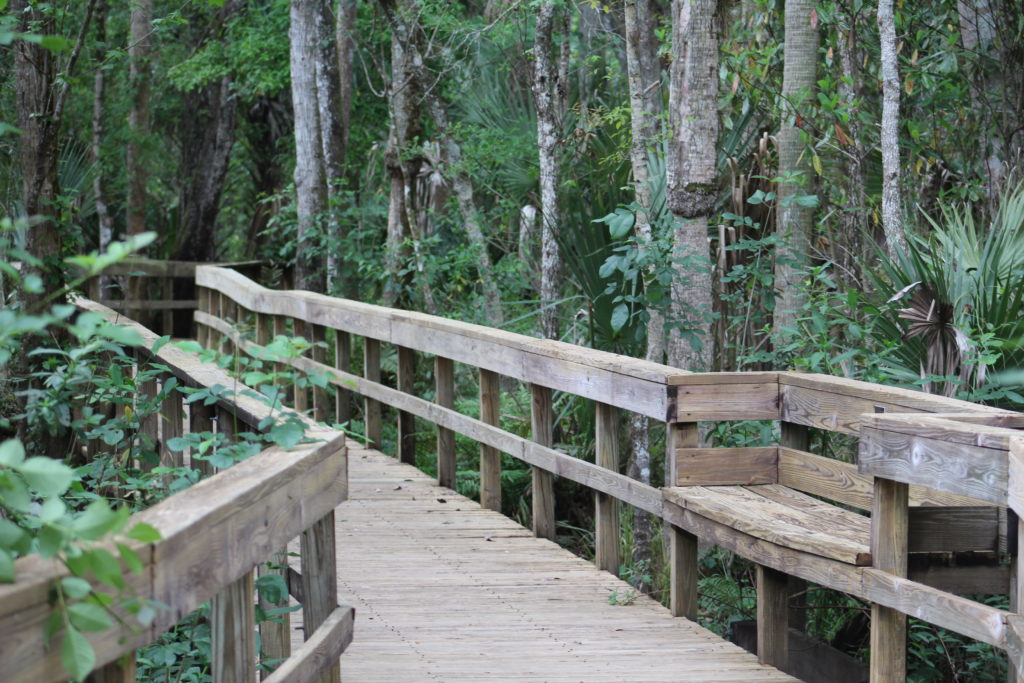 Bench along a boardwalk