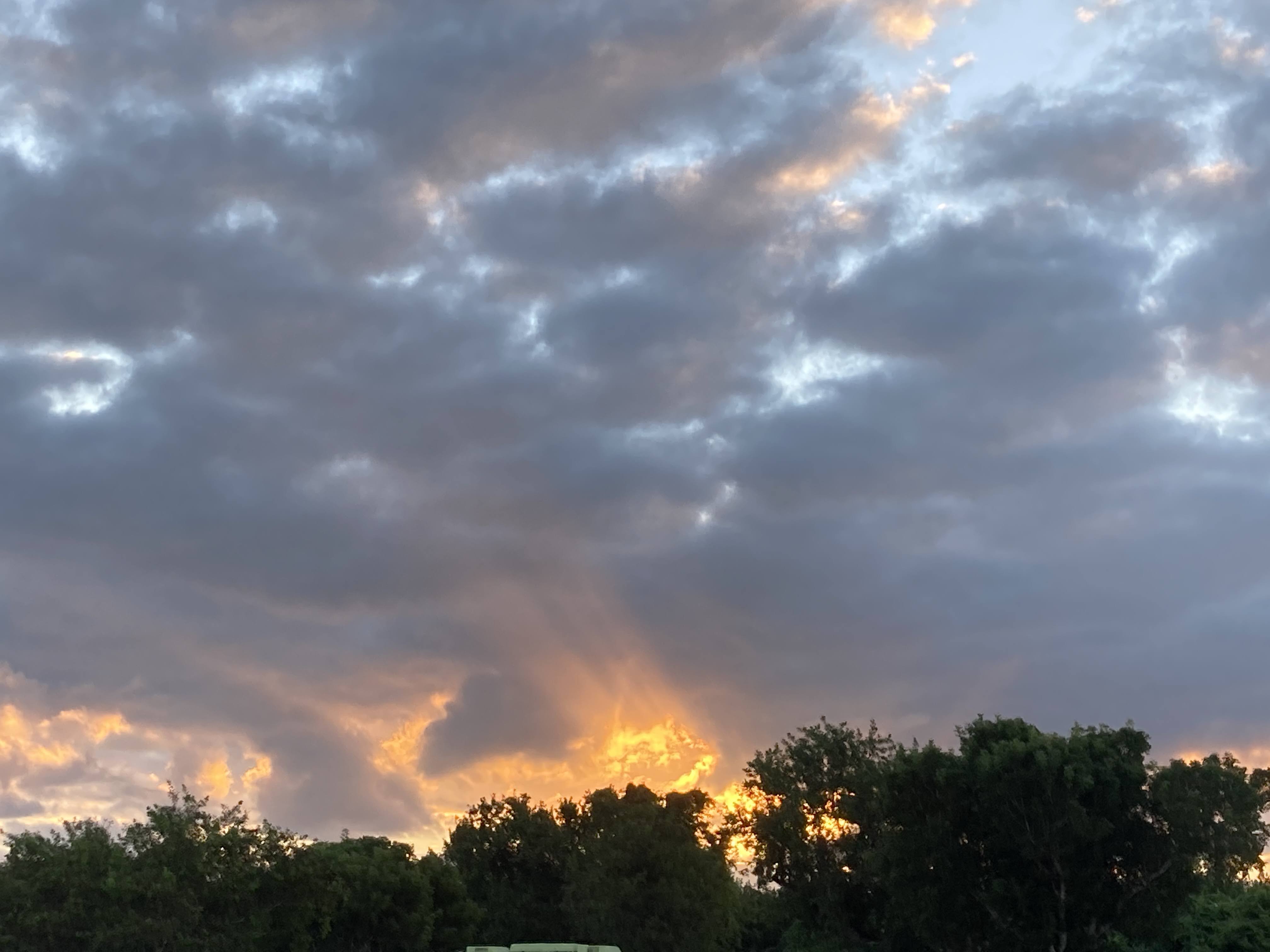Sunrise in the Everglades